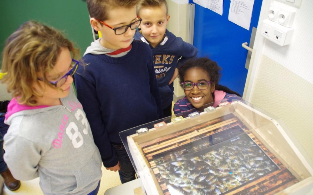 Article In Ruche dans le journal Le Parisien