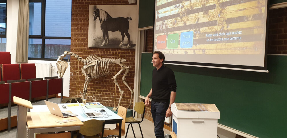 InRuche découvre la Belgique …