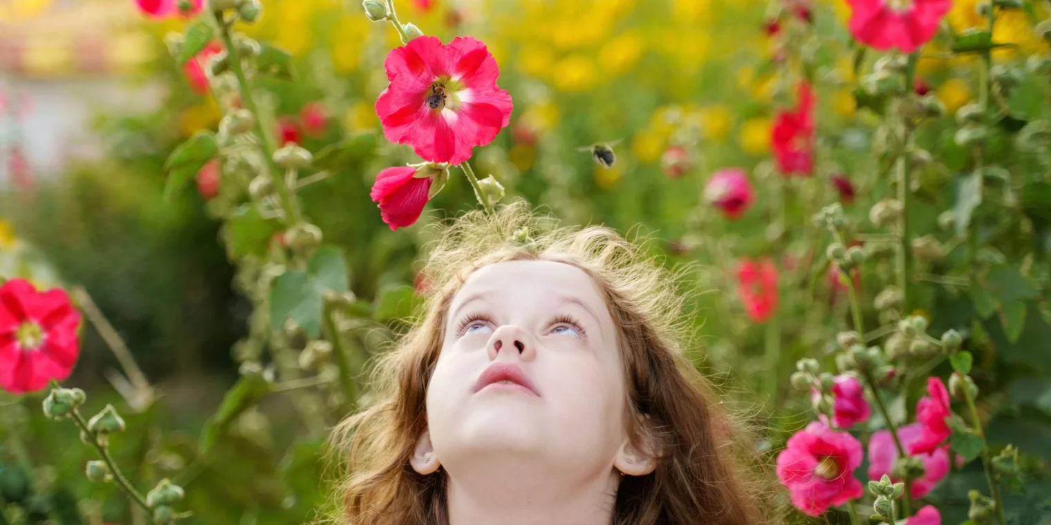 Quelle animation pour les enfants sur l’abeille ?